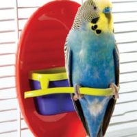 CAI 00897 Mess-less Feeder