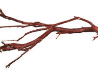 TUC 20012 (M4A) Bolt-On Multi Manz Perch 12" - UPPSELT!