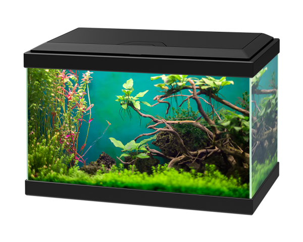 Aqua 20C Black - 17L