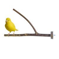 Safe & Sound Natural Perch S