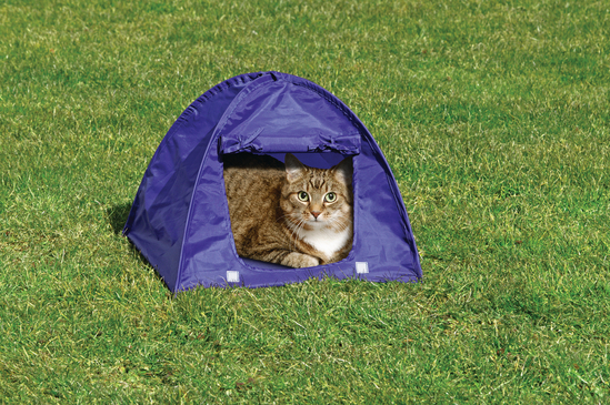 Kitty Camp Tent