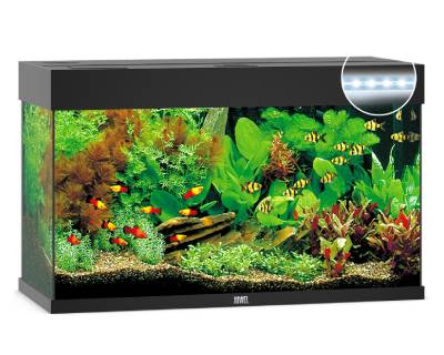 Rio 125 LED Aquarium - Black