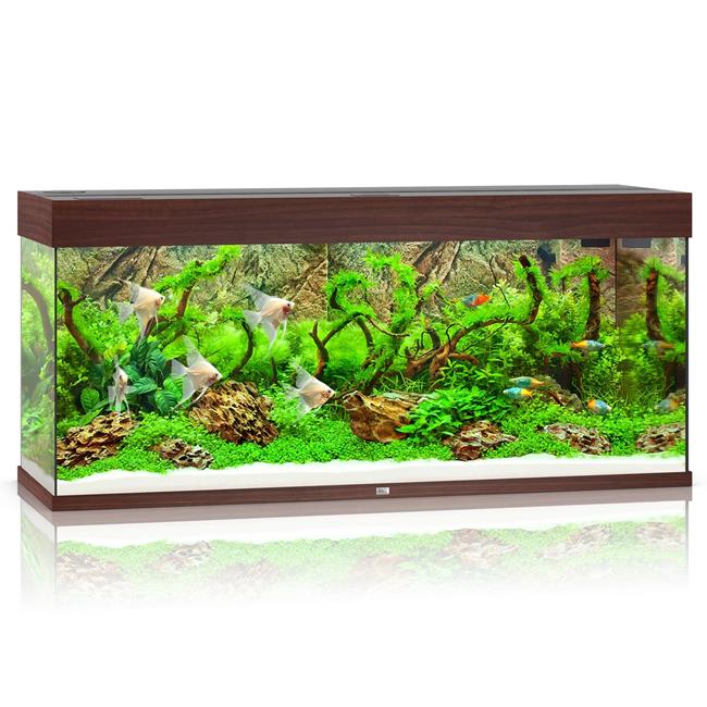 Rio 240 LED Aquarium - Dark Wood