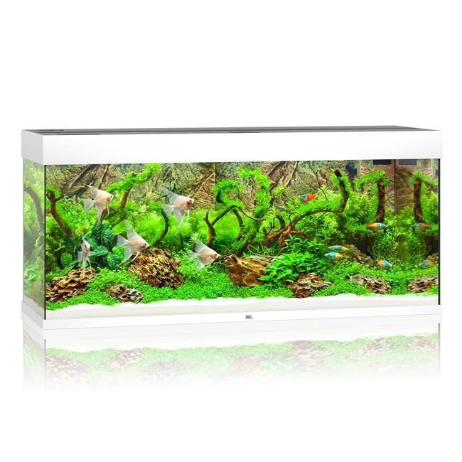 Rio 240 LED Aquarium - White