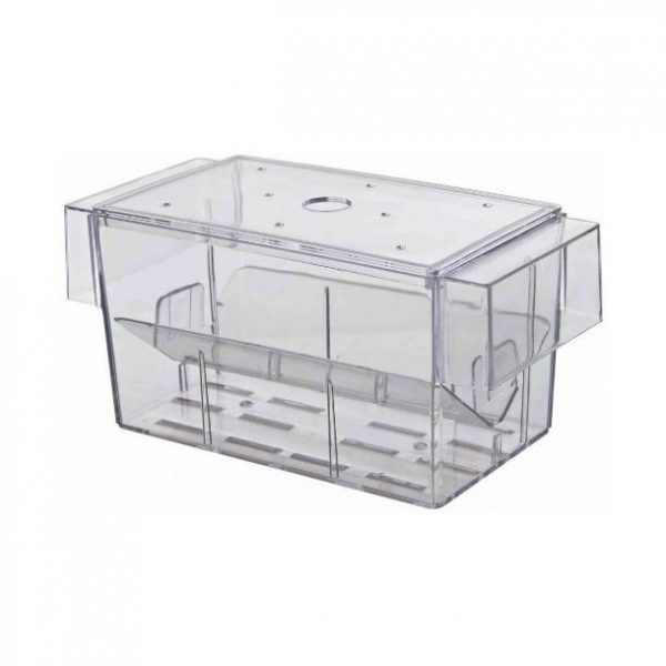 Fish Hatchery - 16x7cm