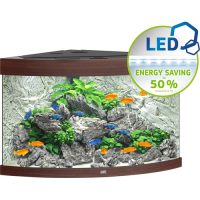 Trigon 190 LED Aquarium - Dark Wood