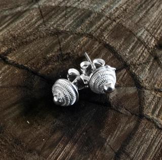 Point Model Silver Earrings