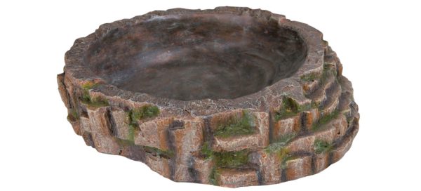 Reptiland® Pool Jungle - 35cm