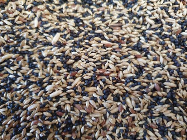 Gold-Mix Organic Standard Canary 12,5kg