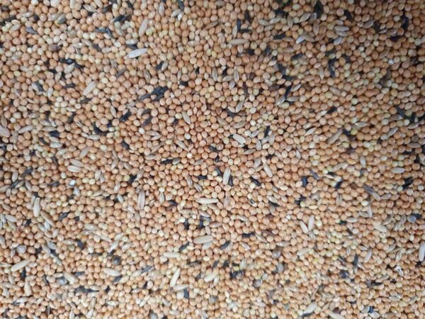 Gold-Mix Organic Standard Finch 1kg