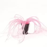 Tube Anemone Peach Cerianthus sp. - 2,5x2,5x15cm