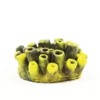 Mini Tube Sponge Yellow/Purple Theonella sp. - 10,2x9x4,5cm
