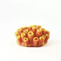 Mini Tube Sponge Yellow/Red Theonella sp. - 10,2x9x4,3cm