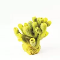 Mini Tube Sponge Yellow/Purple Theonella sp. - 10x9x10cm