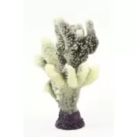 Staghorn White/Green Acropora sp. - 17x13,5x21,5cm