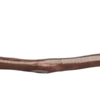 TUC 10016 (SP4) Str. Bolt-On Manz. 12"