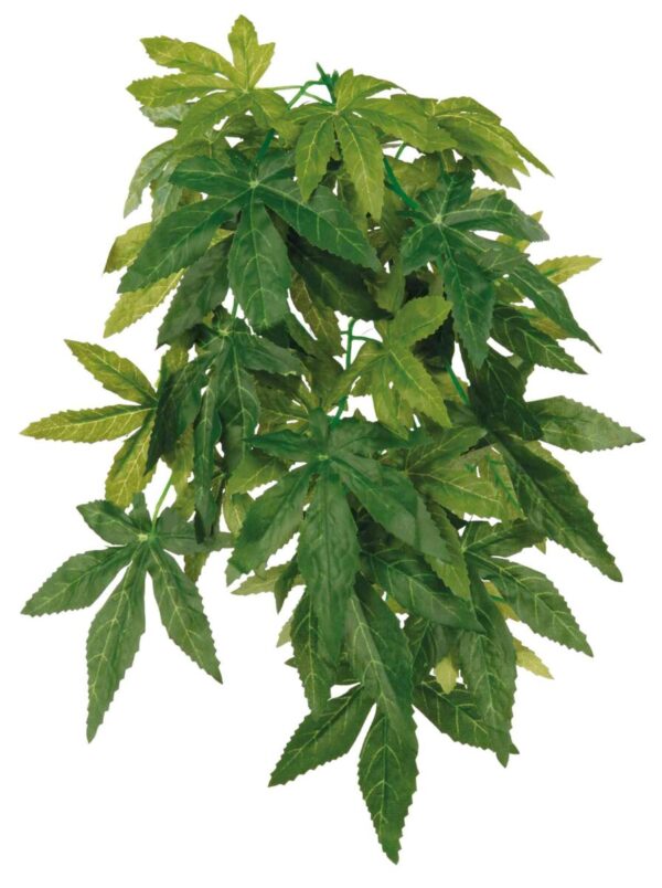 Reptiland Silk Hanging Plant - Abutilon