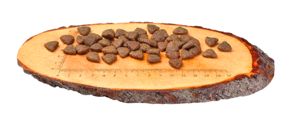 Carnilove Dog Salmon - 12kg - Image 2