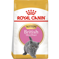 RC British Shorthair Kitten Dry Cat Food - 2kg - VÆNTANLEGT!