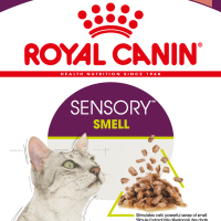 RC Sensory Smell Wet Cat Food - 12x85g