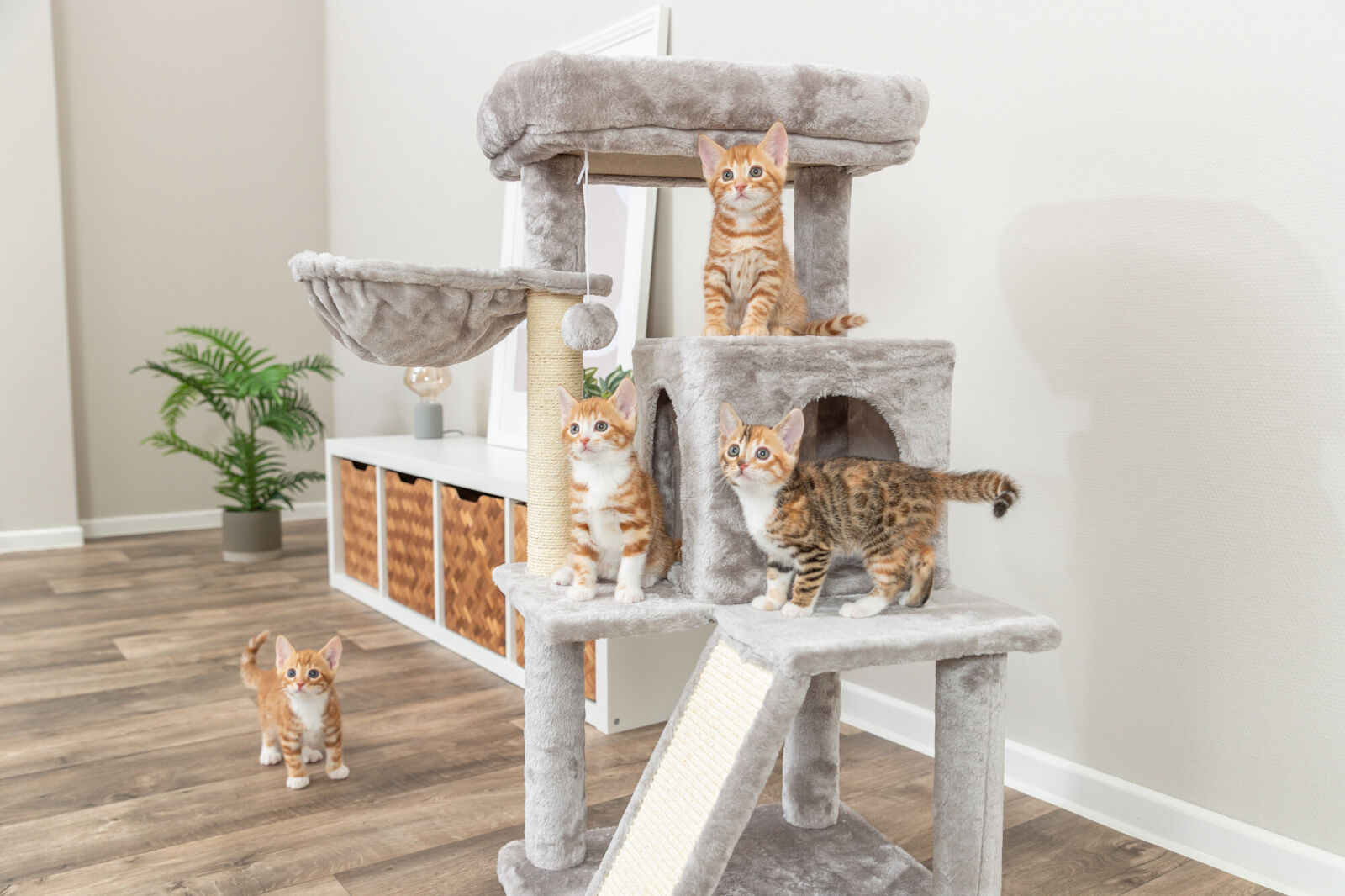Junior Pepito Scratching Tree - Grey - Image 4