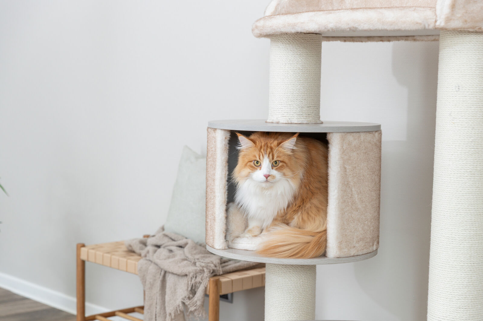 Klara Cat Tree XXL - Cream - Image 5