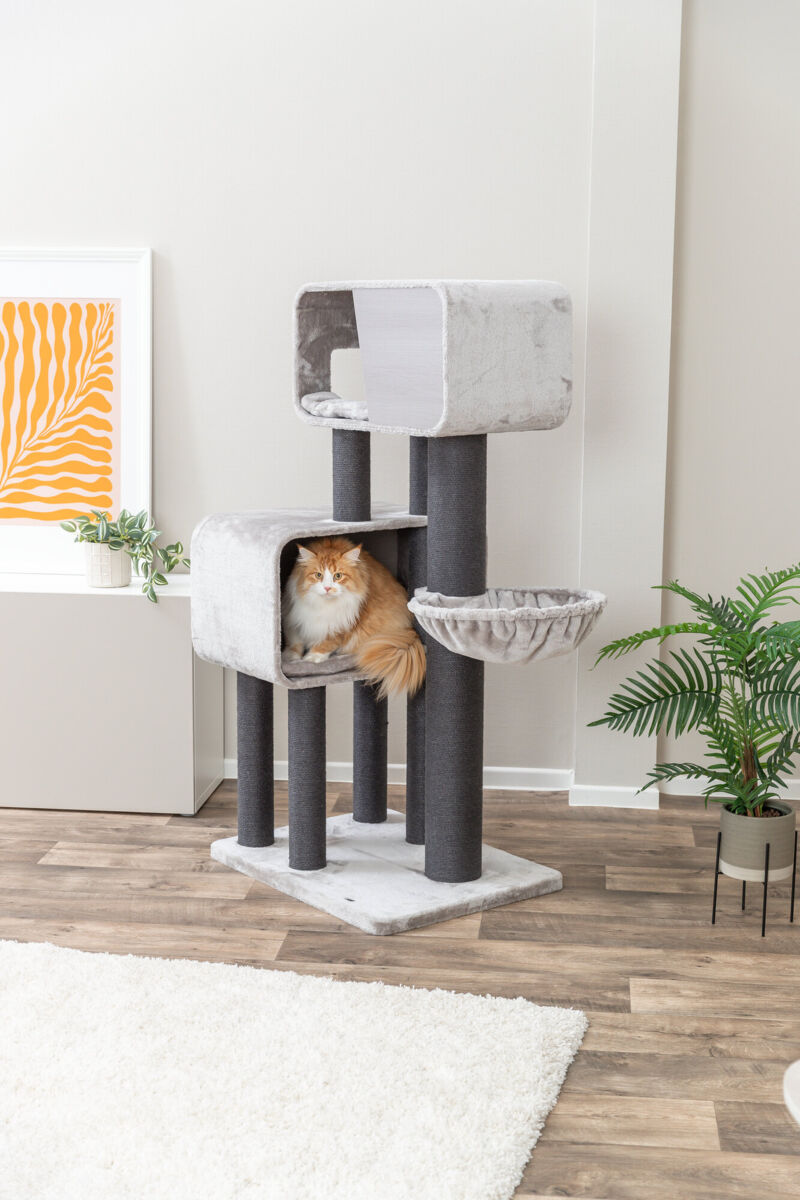 Rafael Cat Tree XXL - Grey - Image 5