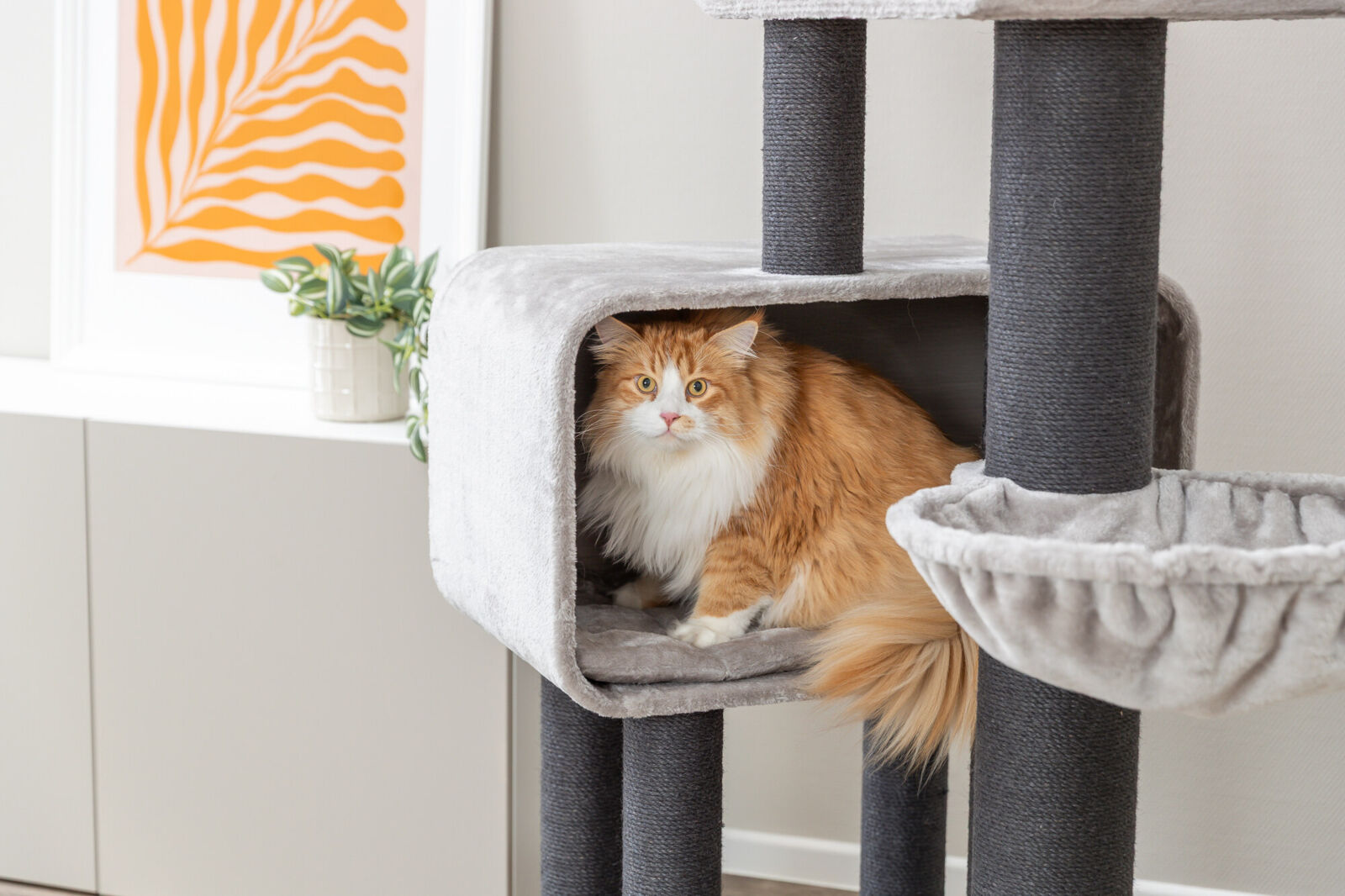 Rafael Cat Tree XXL - Grey - Image 4